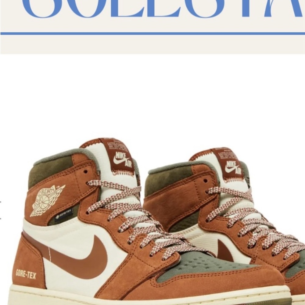 Nike Air Jordan 1 High GORE-TEX Men's Shoes - Brown and White Legend Coffee